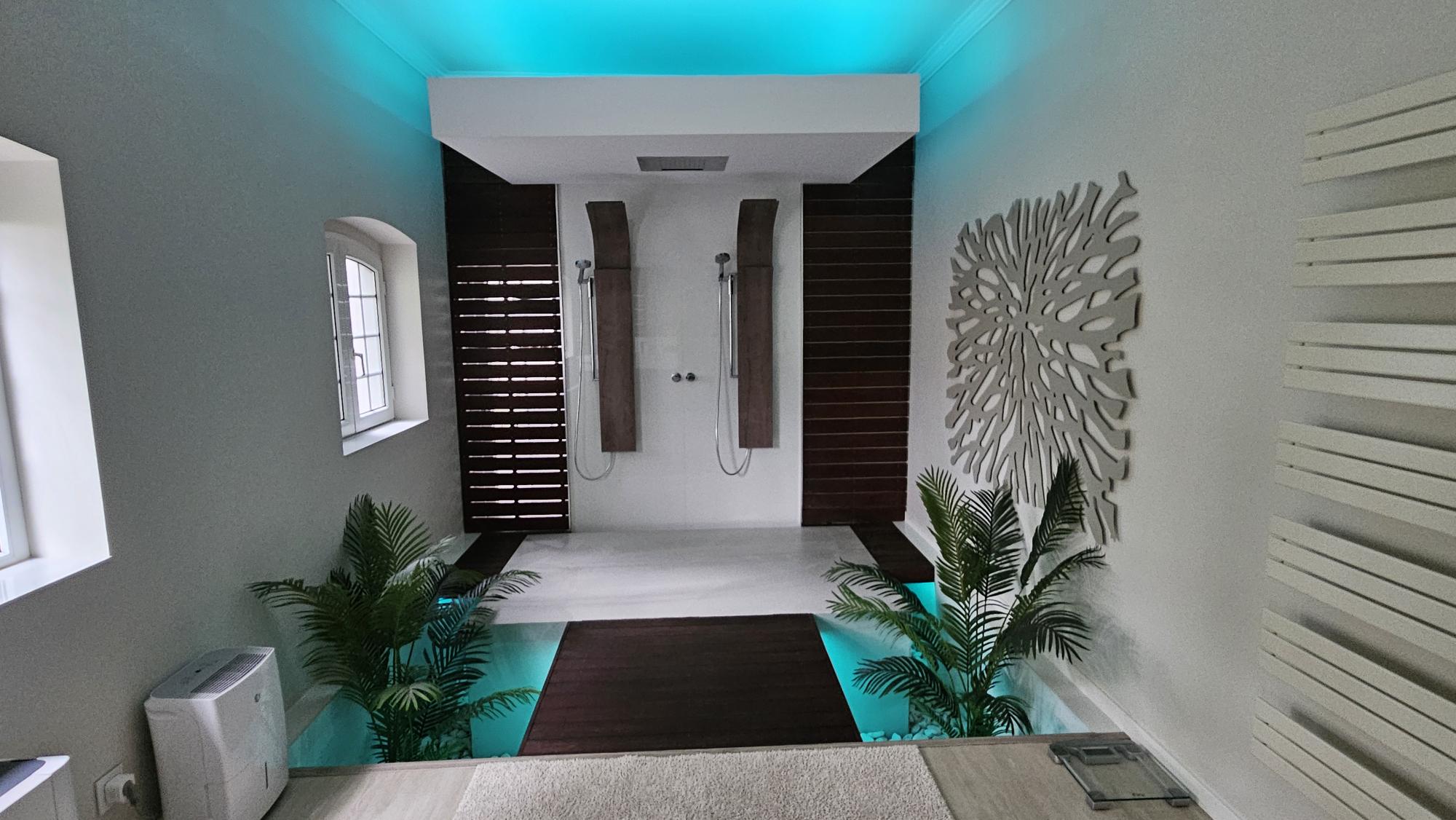 Upstairs Master Suite azulejo shower